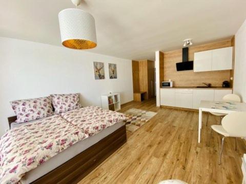 Dream Apartman 보이니체 외부 사진